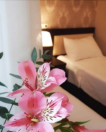 Imagen de la habitación del Hotel Otiums. Foto 16