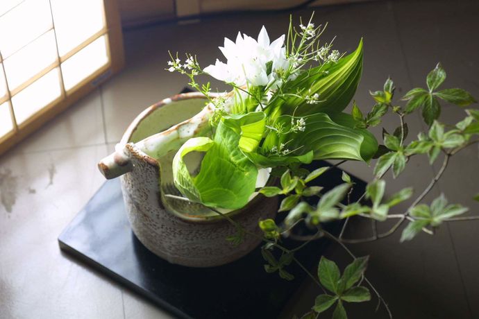 Imagen del bar/restaurante del Hotel Otogi-tei Kofu. Foto 6