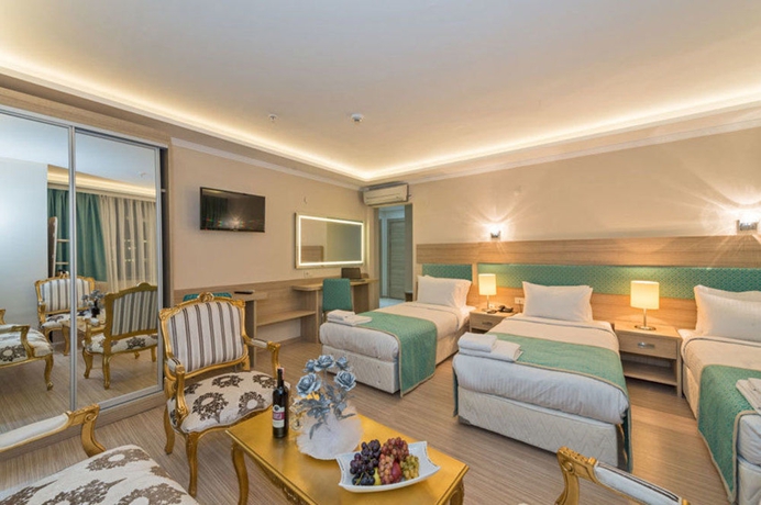 Imagen de la habitación del Hotel Ottoman City. Foto 15