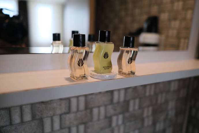 Imagen de la habitación del Hotel Ottoman Sakarya. Foto 2