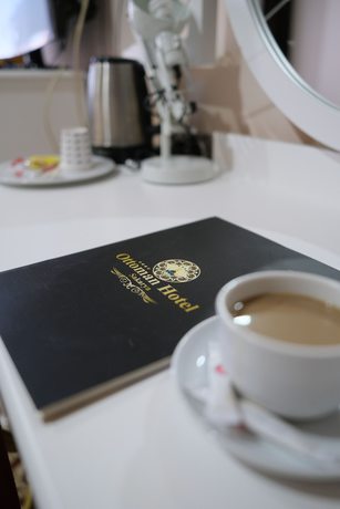 Imagen de la habitación del Hotel Ottoman Sakarya. Foto 10