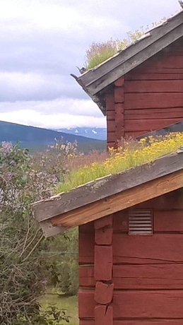 Imagen general del Hotel Ottsj&ouml; Fj&auml;llhotell. Foto 8