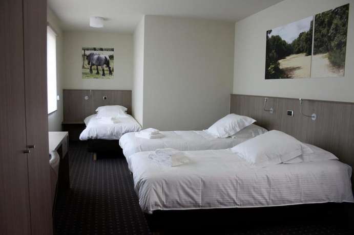 Imagen de la habitación del Hotel Otus. Foto 7