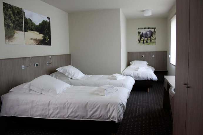 Imagen de la habitación del Hotel Otus. Foto 19
