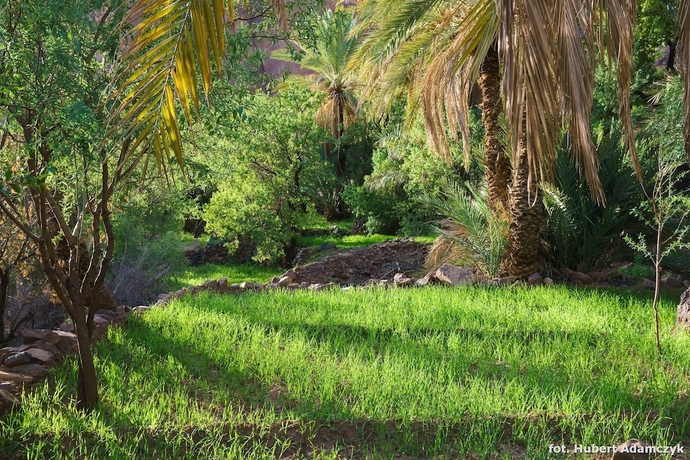 Imagen de los exteriores del Hotel Ouednoujoum Ecolodge and Spa. Foto 14