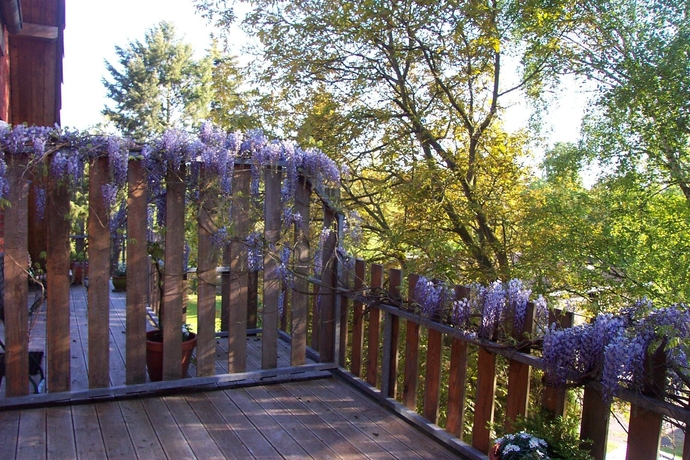 Imagen de la habitación del Hotel Ökotel Hamburg. Foto 2