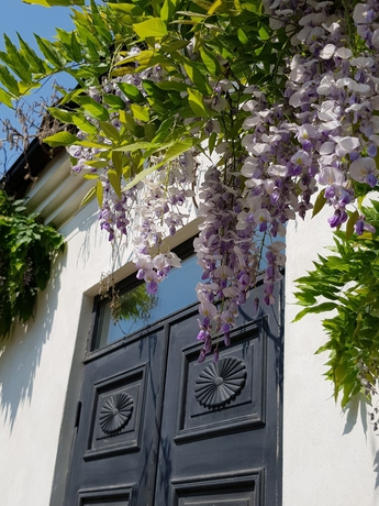 Imagen general del Hotel &Ouml;rum 119. Foto 3