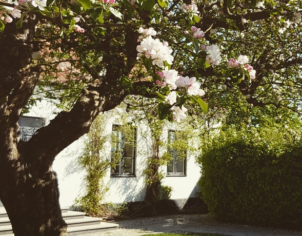 Imagen de los exteriores del Hotel &Ouml;rum 119. Foto 14