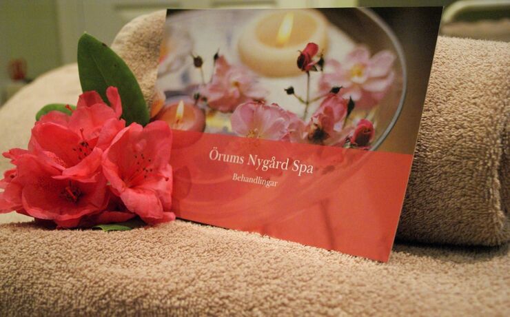 Imagen general del Hotel &Ouml;rums Nyg&aring;rd &Ouml;sterlen Spa and Konferens. Foto 6