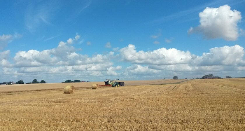 Imagen general del Hotel &Ouml;rums Nyg&aring;rd &Ouml;sterlen Spa and Konferens. Foto 12