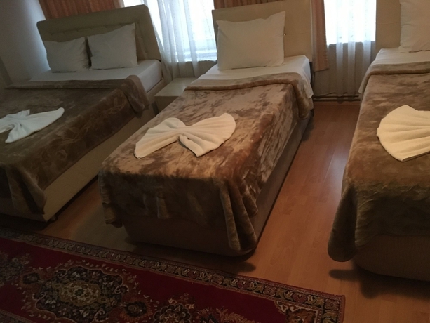 Imagen de la habitación del Hotel &Ouml;r&uuml;n. Foto 8