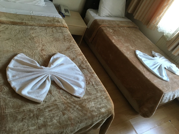 Imagen de la habitación del Hotel &Ouml;r&uuml;n. Foto 16