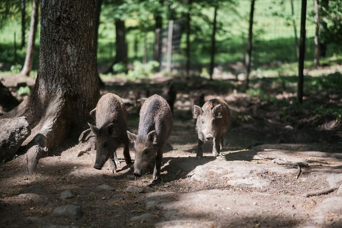 Imagen general del Hotel &Ouml;ster Malma l. Foto 4