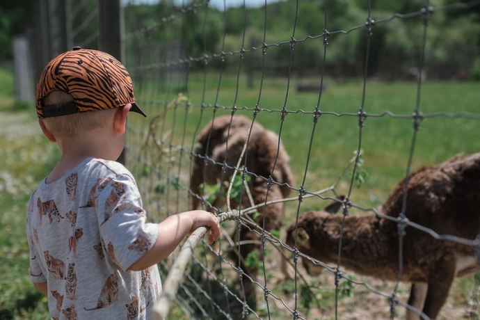 Imagen general del Hotel &Ouml;ster Malma l. Foto 6
