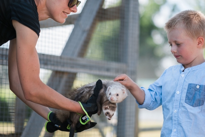 Imagen general del Hotel &Ouml;ster Malma l. Foto 7