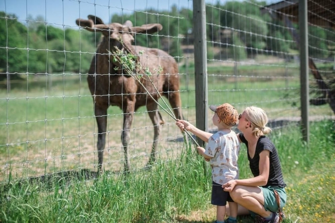 Imagen general del Hotel &Ouml;ster Malma l. Foto 8