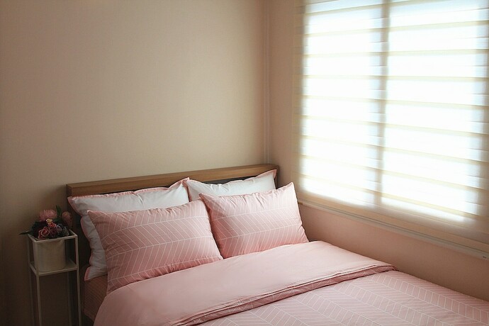 Imagen general del Hotel Our House. Foto 6