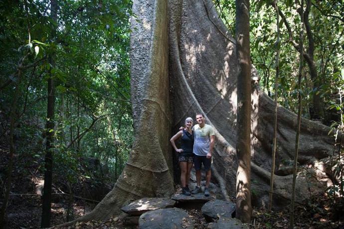 Imagen general del Hotel Our Jungle House. Foto 4