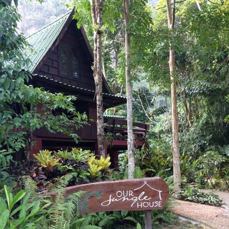 Imagen de los interiores del Hotel Our Jungle House. Foto 20