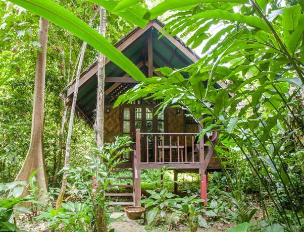 Imagen de la habitación del Hotel Our Jungle House. Foto 14