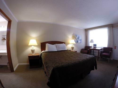 Imagen de la habitación del Hotel Ouray Chalet Inn. Foto 6