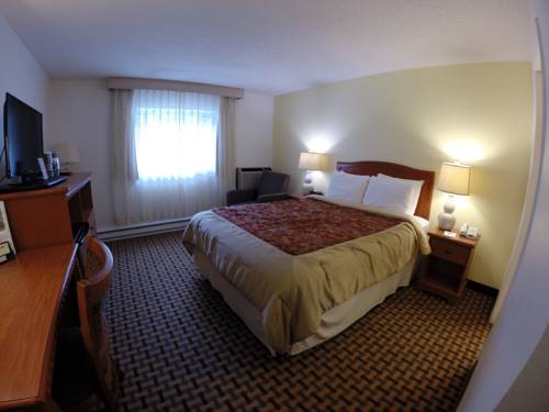 Imagen de la habitación del Hotel Ouray Chalet Inn. Foto 10