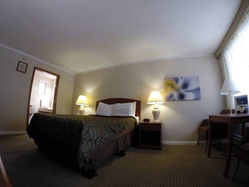 Imagen de la habitación del Hotel Ouray Chalet Inn. Foto 13