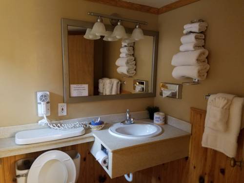 Imagen de la habitación del Hotel Ouray Inn. Foto 6