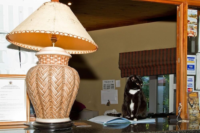 Imagen de los interiores del Hotel Out of Africa Town Lodge. Foto 13