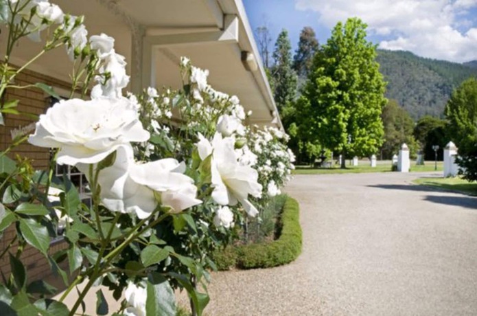 Imagen general del Hotel Ovens Valley Motor Inn. Foto 4