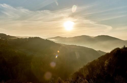 Imagen de la habitación del Hotel Oversum Winterberg. Foto 10