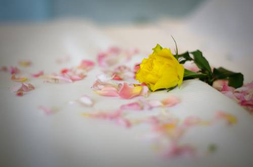 Imagen de la habitación del Hotel Ovidius. Foto 13