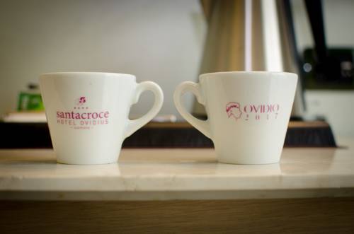 Imagen de la habitación del Hotel Ovidius. Foto 16