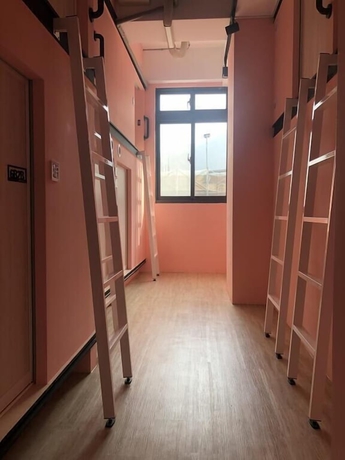 Imagen de la habitación del Hotel Owl Hostel. Foto 3