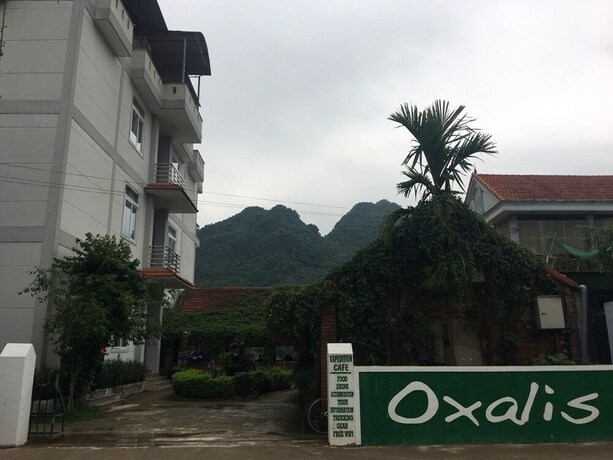 Imagen general del Hotel Oxalis Home. Foto 3