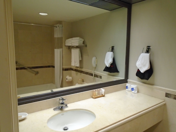 Imagen de la habitación del Hotel Oxford Palace and Galleria. Foto 11