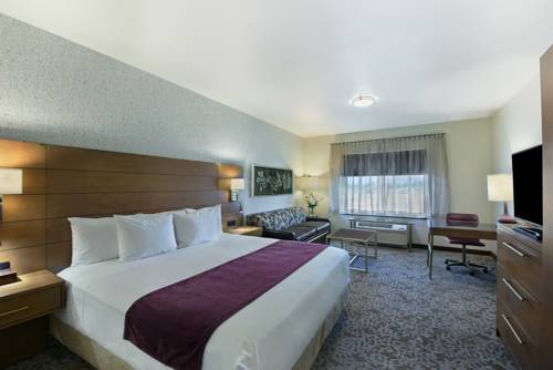 Imagen de la habitación del Hotel Oxford Suites Sonoma County. Foto 3