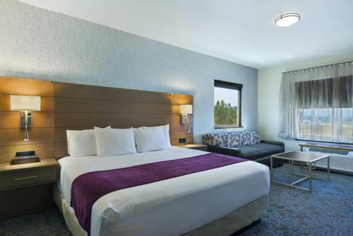 Imagen de la habitación del Hotel Oxford Suites Sonoma County. Foto 6