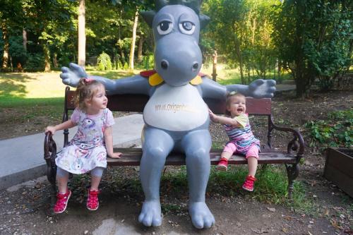 Imagen general del Hotel Oxig&eacute;n Family Noszvaj. Foto 2