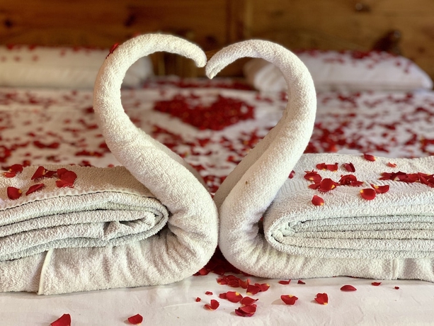 Imagen de la habitación del Hotel Oxygen Palolem. Foto 2