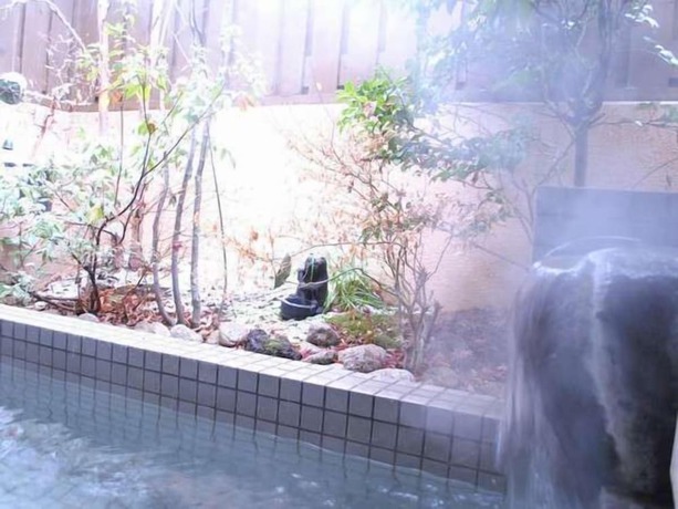 Imagen de la piscina del Hotel Oyado Ichifuji. Foto 10