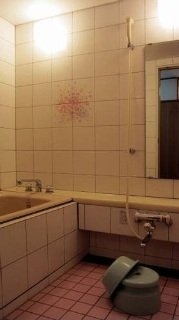 Imagen de la habitación del Hotel Oyado Ishicho. Foto 13