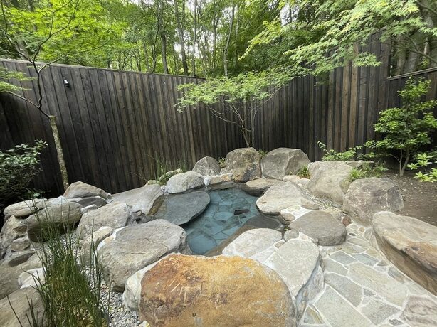 Imagen de la habitación del Hotel Oyado Nihon No Ashitaba. Foto 32