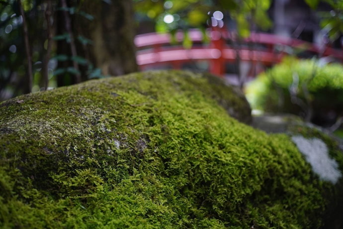 Imagen general del Hotel Oyado Yamakyu. Foto 3