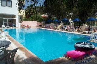 Imagen de la piscina del Hotel Oylum Park. Foto 6
