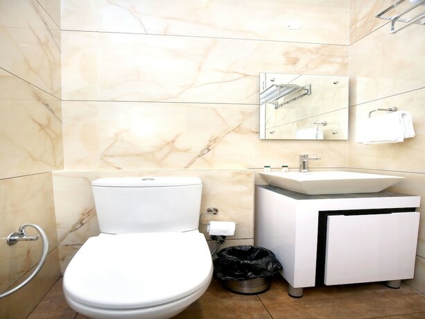 Imagen general del Hotel Oyo 17084 Grand Orchid. Foto 13