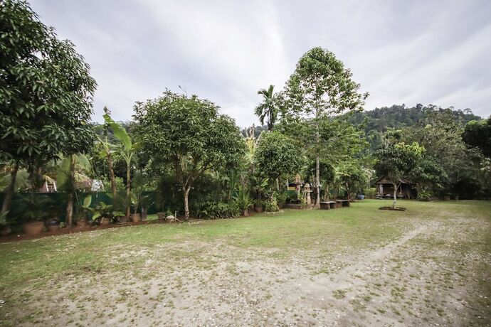 Imagen general del Hotel Oyo 75312 Banana Lodge. Foto 13