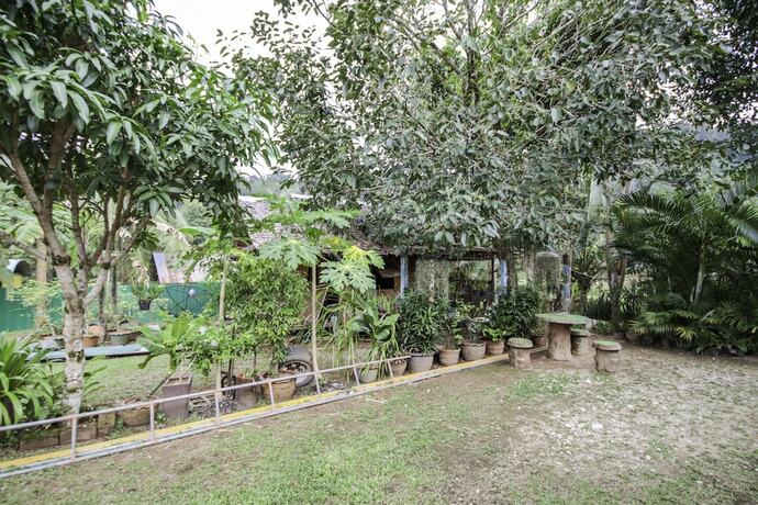 Imagen de los exteriores del Hotel Oyo 75312 Banana Lodge. Foto 21