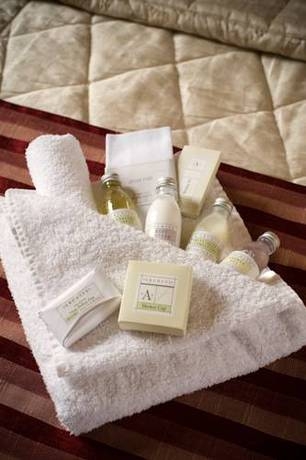 Imagen general del Hotel Oyo Bailbrook Lodge, Bath. Foto 6