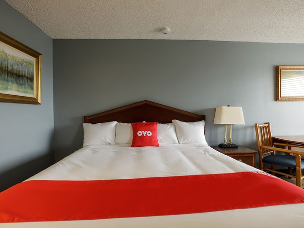 Imagen de la habitación del Hotel Oyo Branson Mo-165. Foto 7